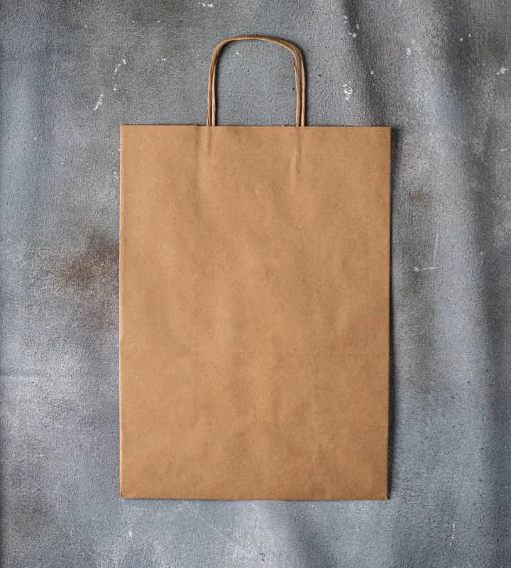 Handle bag with a hidden anti - theft pocket and RFID - blocking liningTwisted Handle Kraft Paper Bag - Brown 305x170x425mm