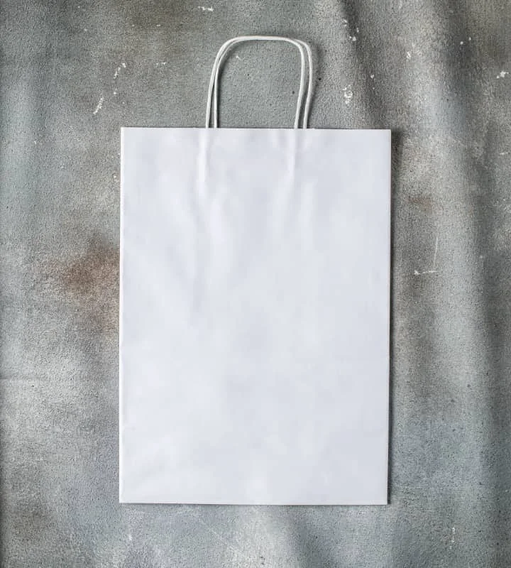 Vegan leather handle bag made from recycled materials for eco - conscious consumersTwisted Handle Kraft Paper Bag - White 305x170x425mm